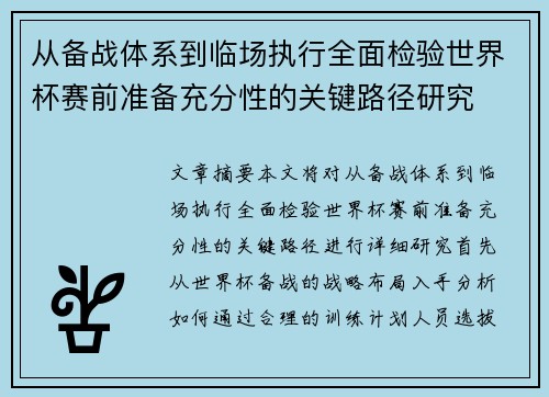 从备战体系到临场执行全面检验世界杯赛前准备充分性的关键路径研究